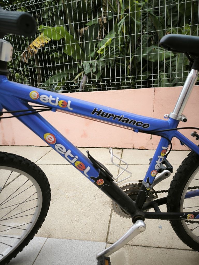 Bicicleta Etiel roda 24