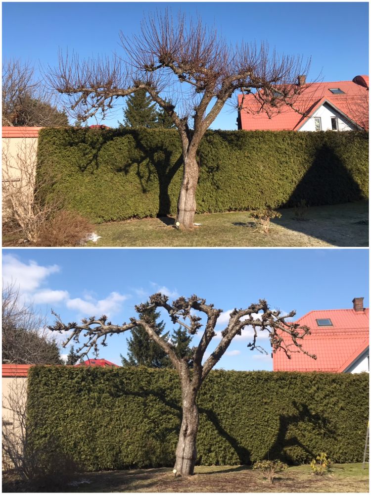 Ogrody Macieja, Ogrodnik, Usługi ogrodnicze