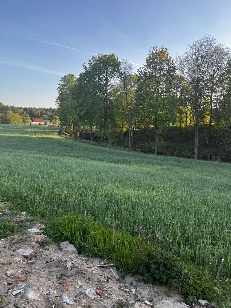 Sprzedam działkę 1600m2