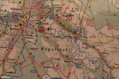 Powiat Poznański-mapa-24