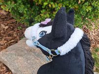 Hobby horse A4 Kary