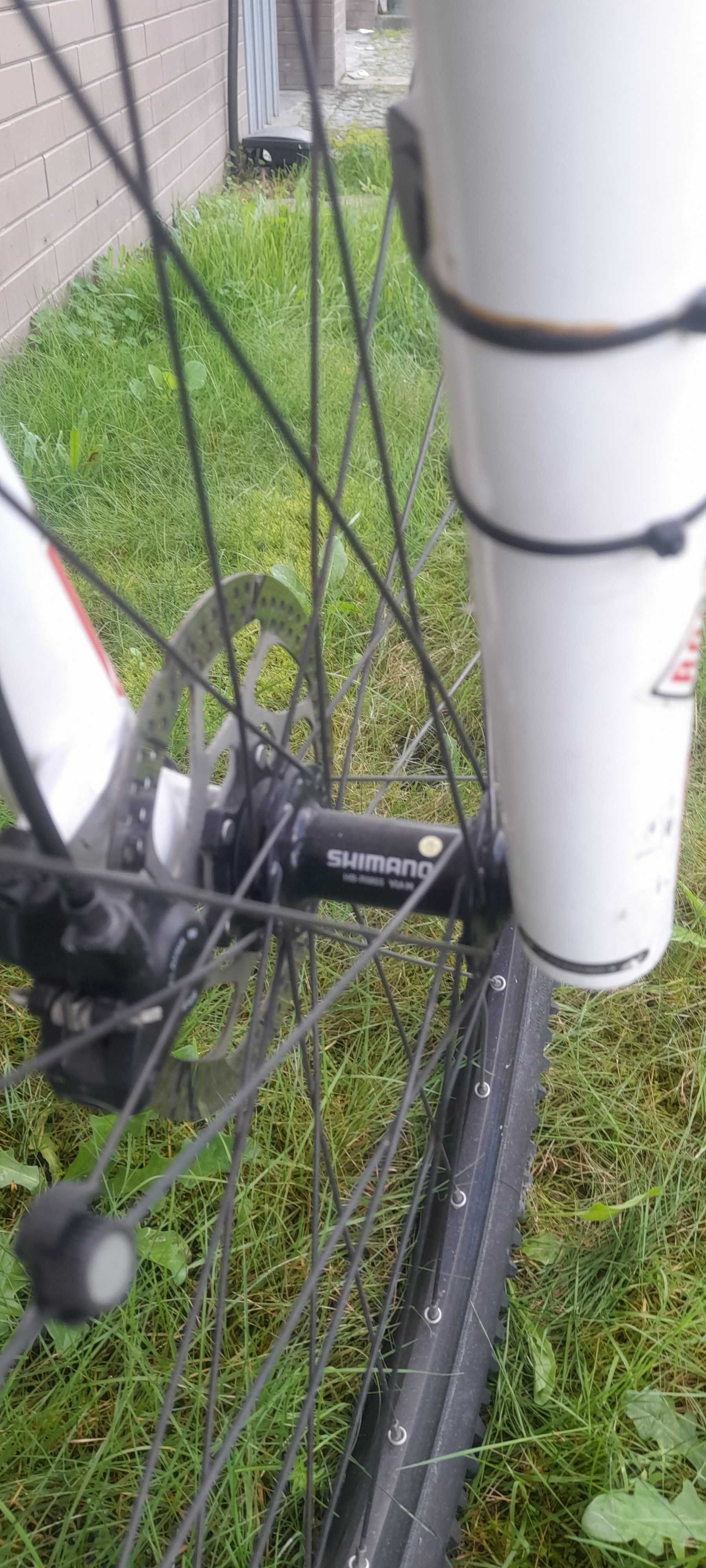 btt bh zenith 2015