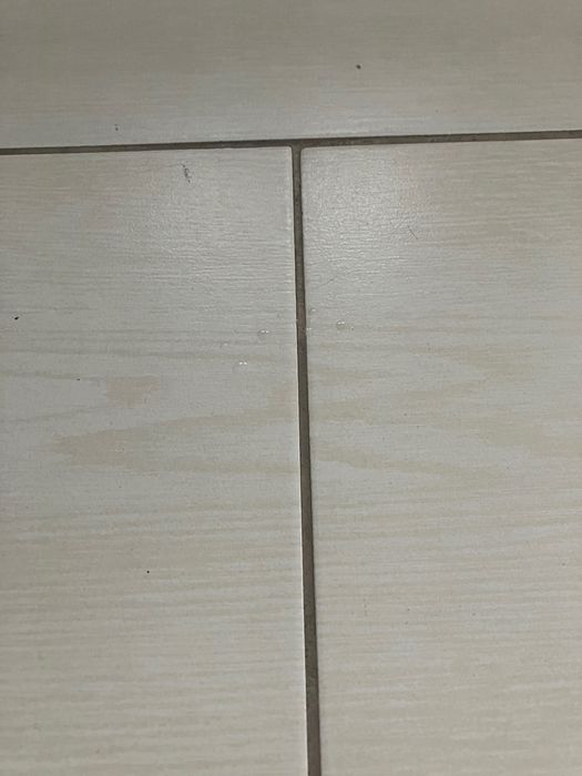 Czyszczenie fug profesjonalnie wolne terminy