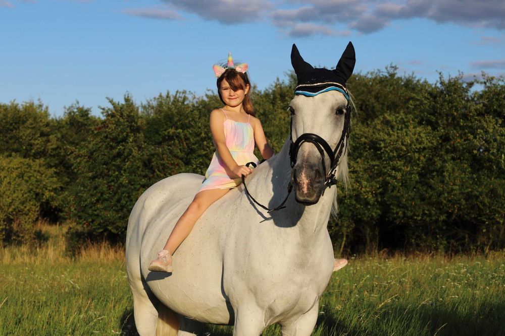 Współdzierżawa konia Poznań