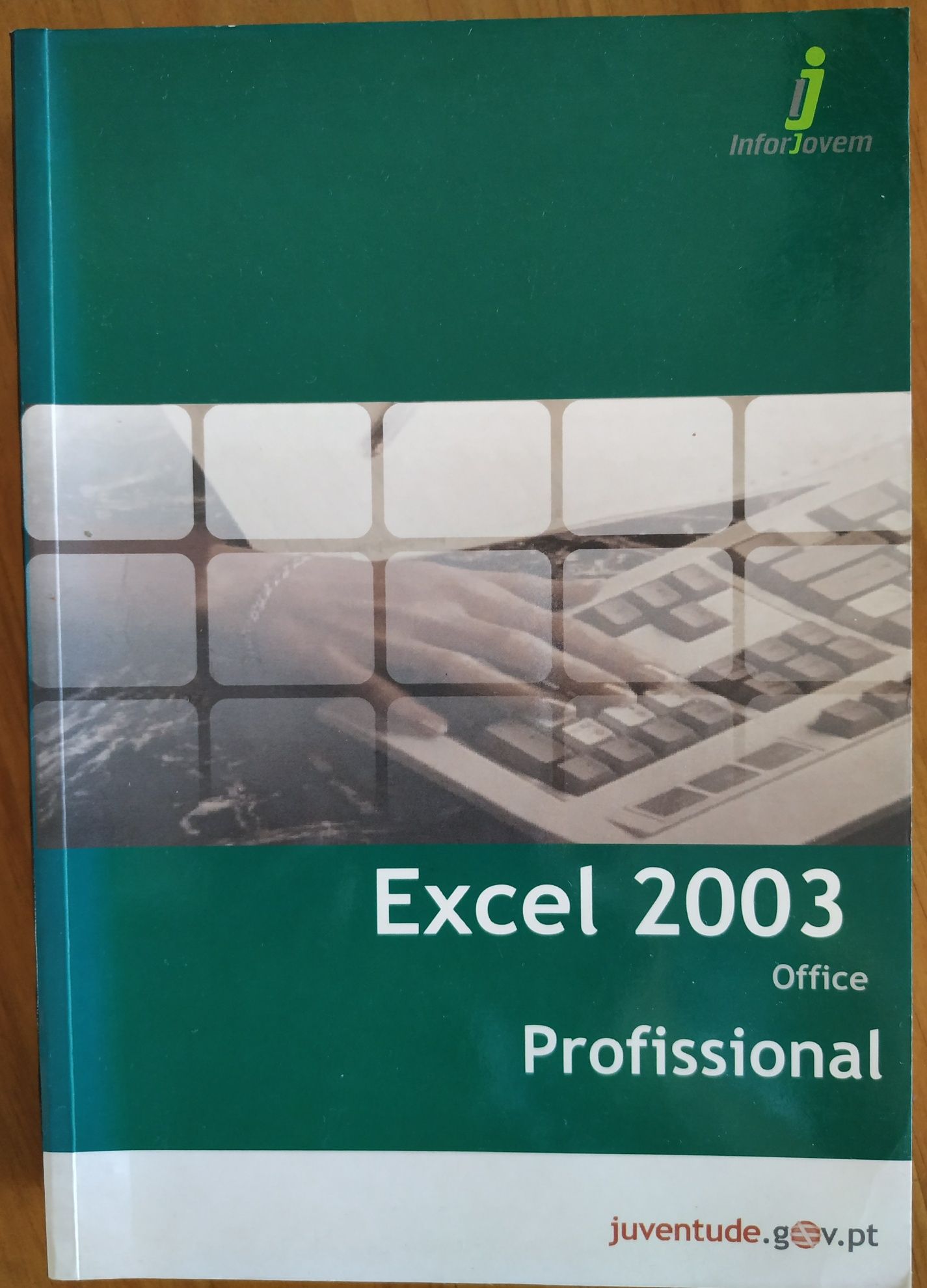 Manual de Excel 2003 Profissional.