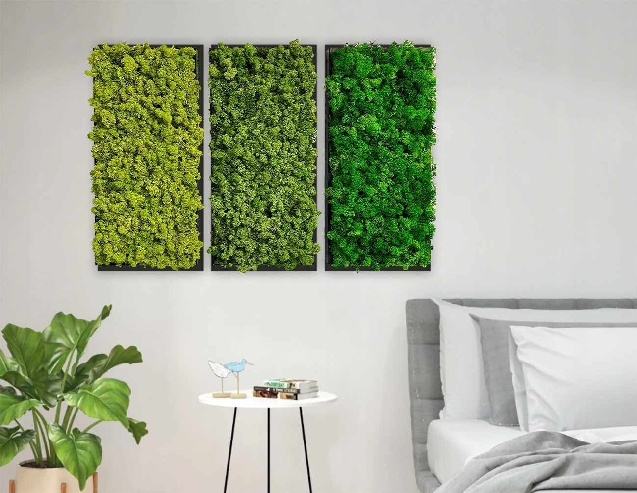 Żywy mech chrobotek stabilizowany, obraz panel, zielona ściana 1m2