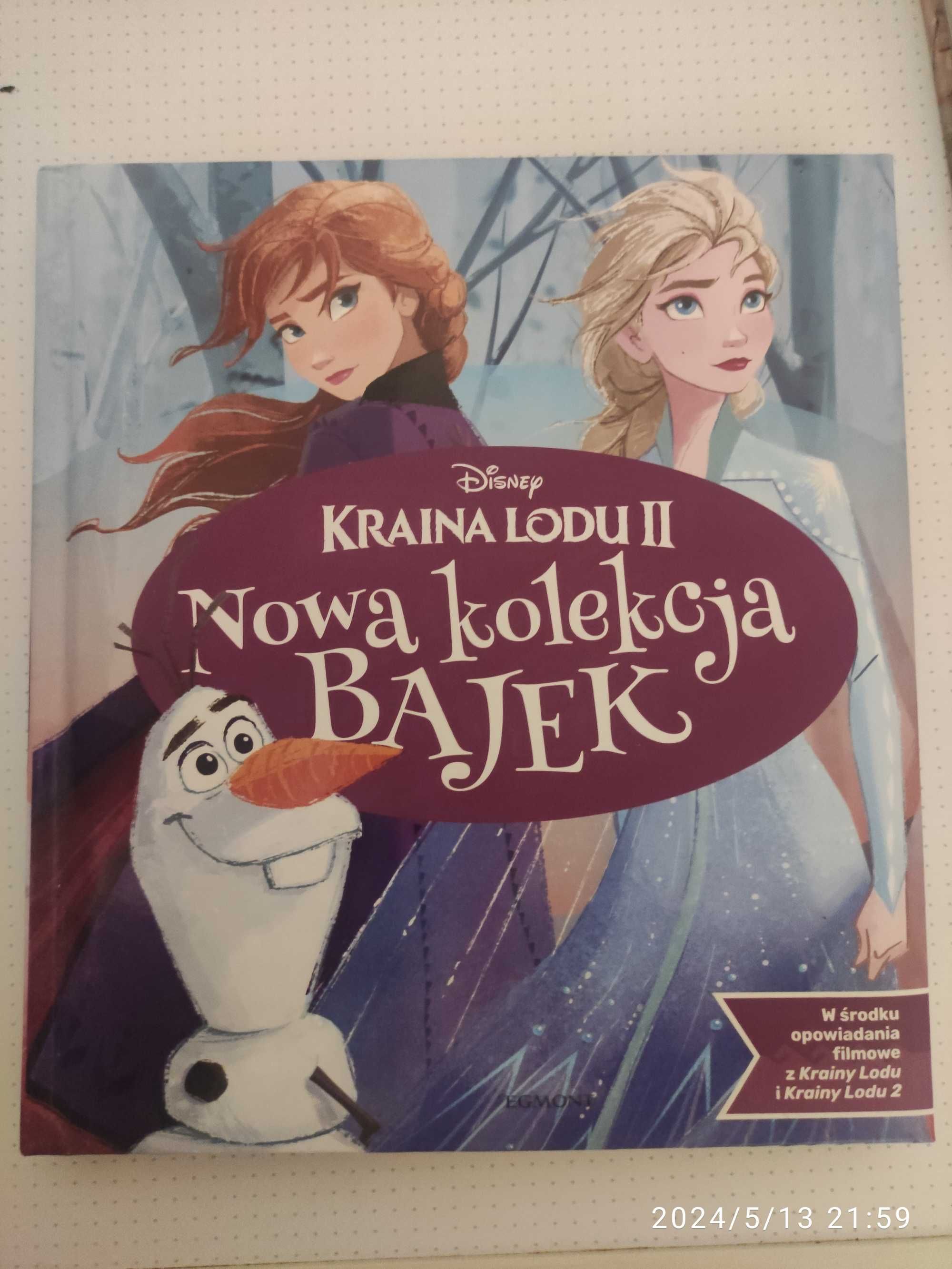 Książka Kraina Lodu 2