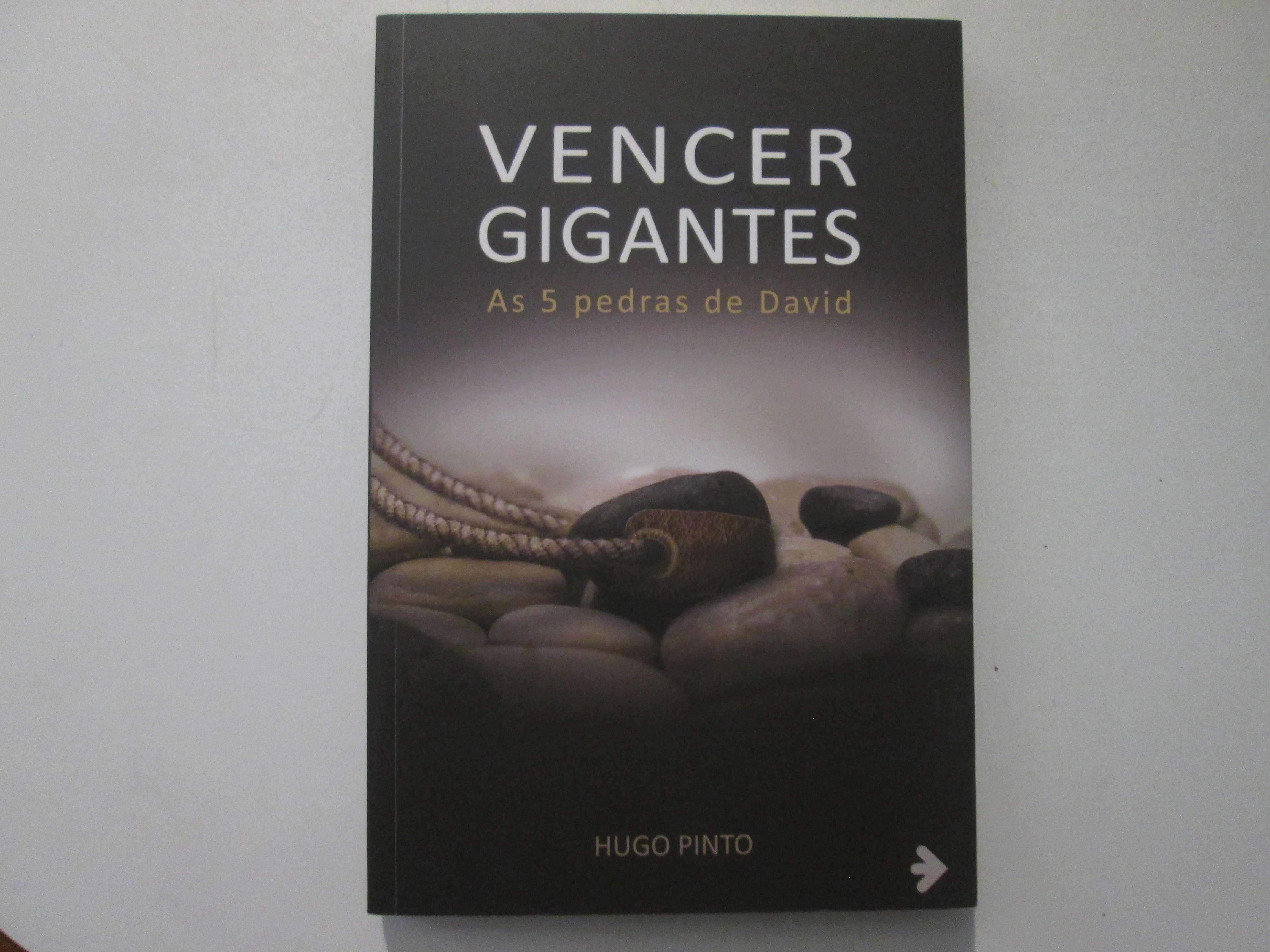 Vencer gigantes- As 5 pedras de David- Hugo Pinto