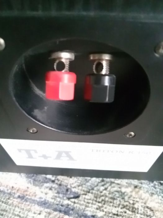 Акустика  Т+ А triton  R 150