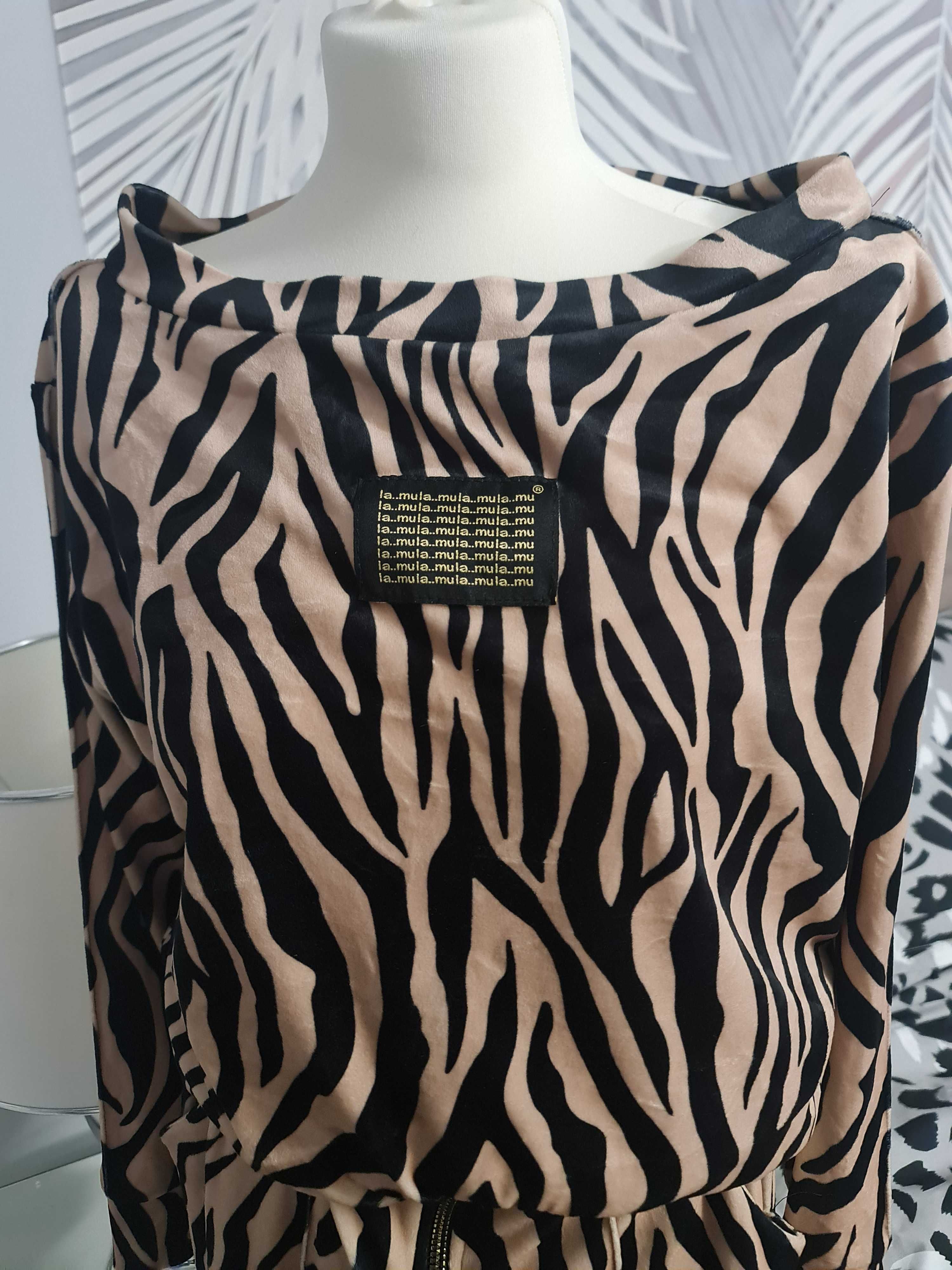 Dres zebra xl xxl