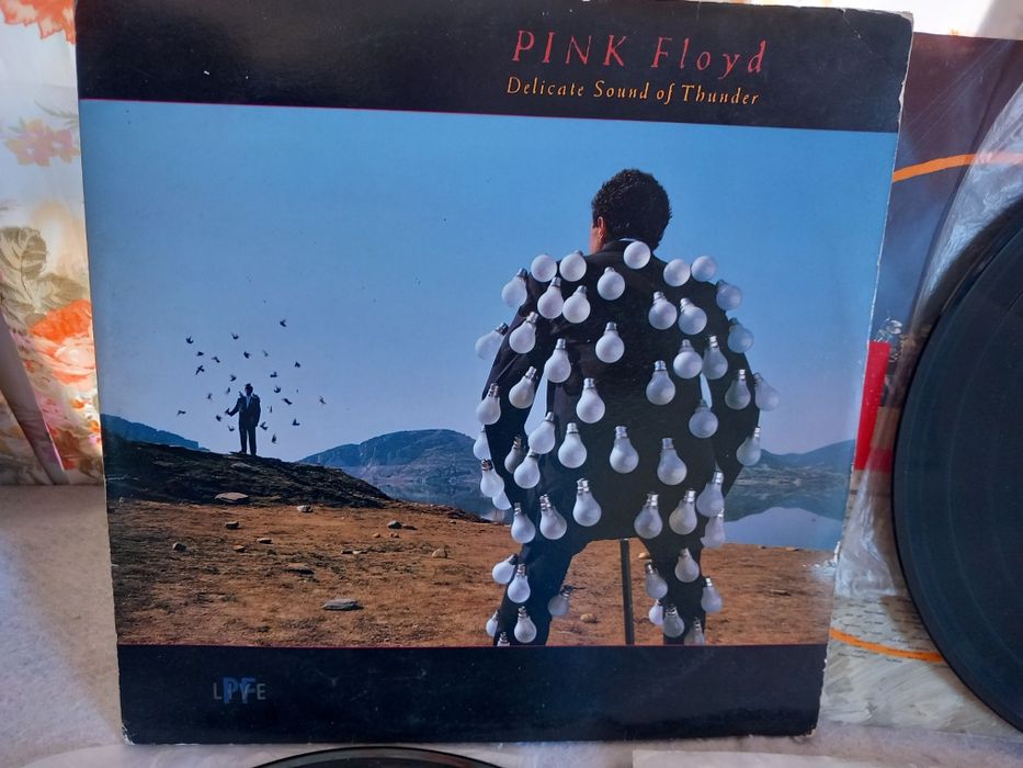 Disco vinil Lp Pink Floyd duplo