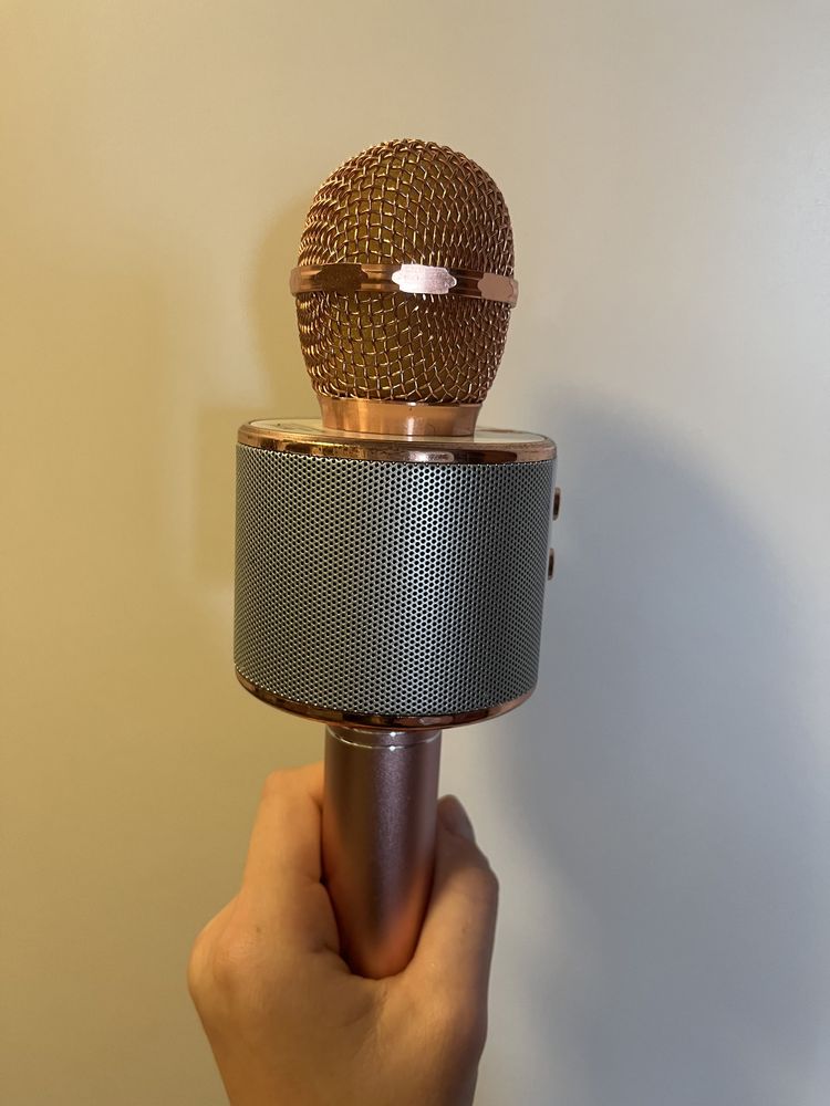 Mikrofon karaoke