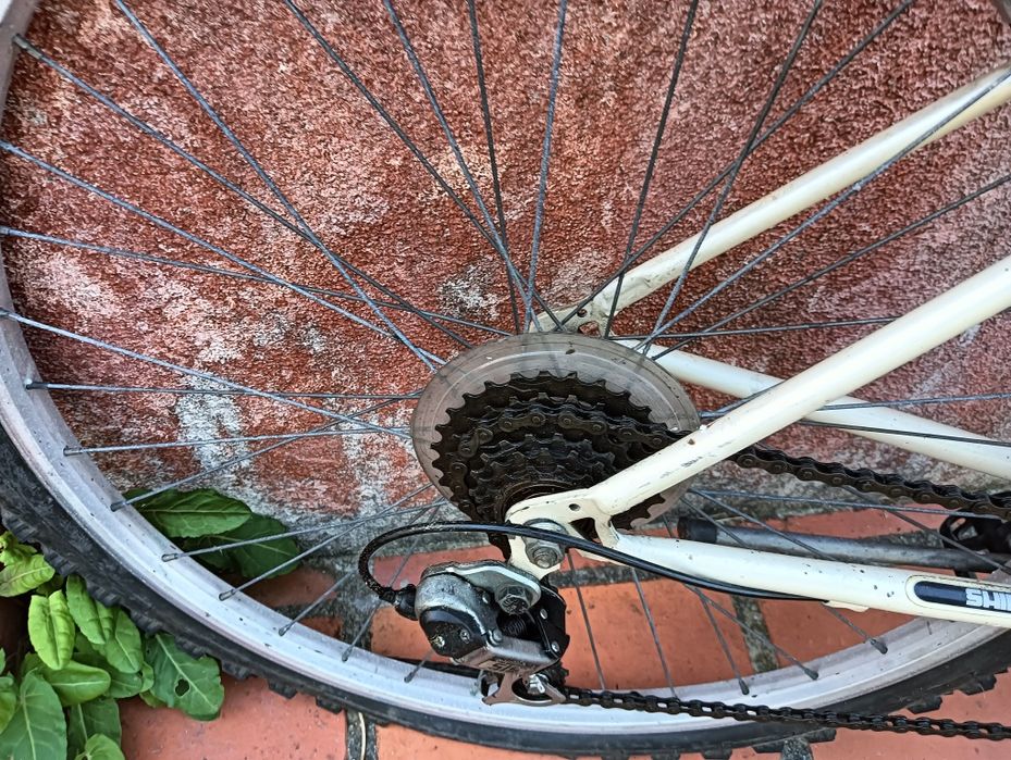Bicicleta Shimano
