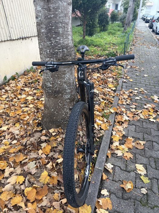 Cannondale Scalpel Carbon 2 2025 Upgrade