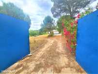 Quinta em Montargil T4 , inserida em lote de 15.000 m2