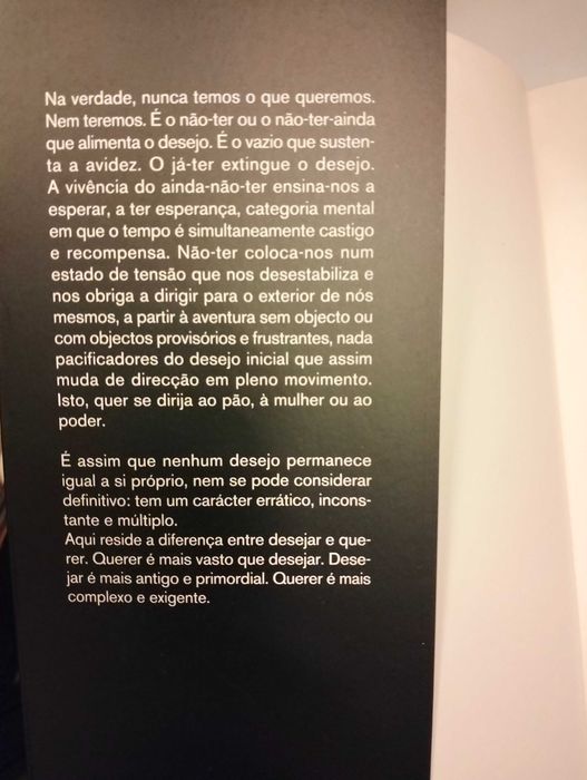 Livro: O Sossego como Problema - Fernando Gandra / Ensaio