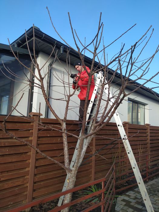 Косіння трави, догляд за газоном та садом