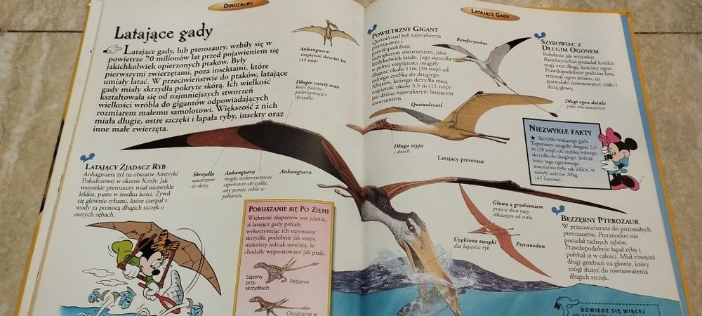 Encyklopedia wiedzy dinozaury , książka dla dzieci
