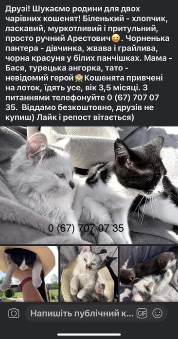 В добрі руки добрим людям