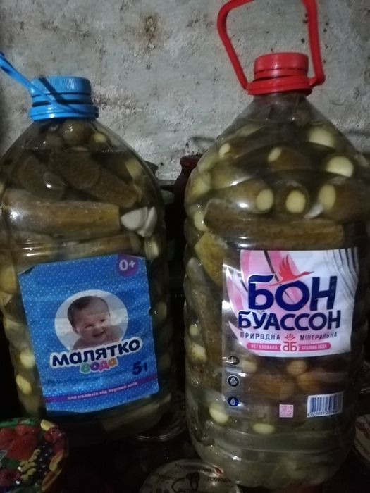 Продам квашені огірки