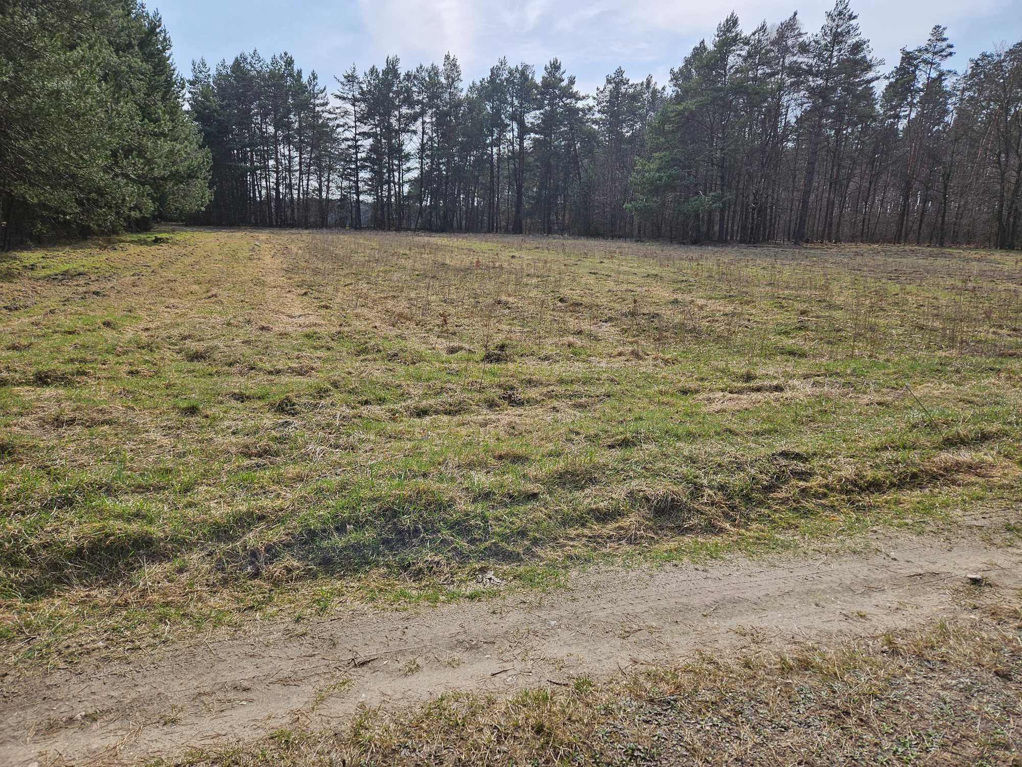 Sprzedam działkę rolną w Smykowie 2,13ha gm.Fałków pow.konecki