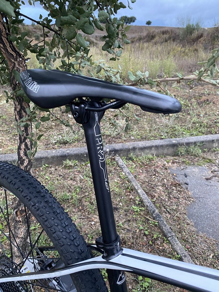 Specialized Stumpjumper 29 carbono