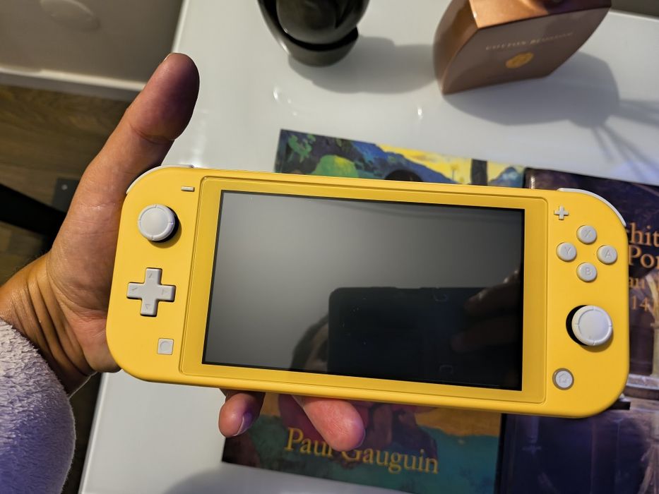 Nintendo Switch Lite desbloqueada