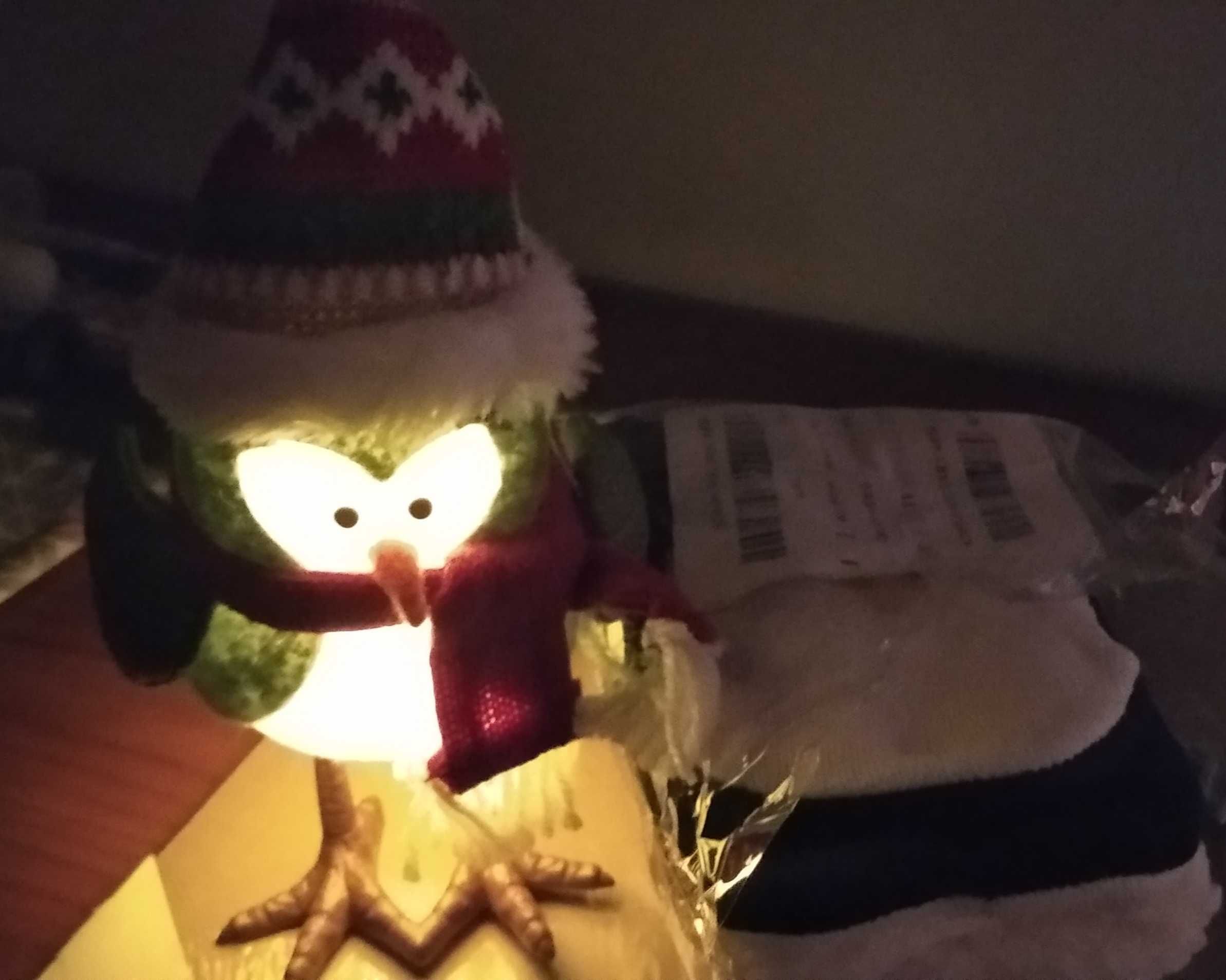 Pingwin świąteczny z lampka nowy
