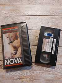 In the land of the Polar Bears. Vhs