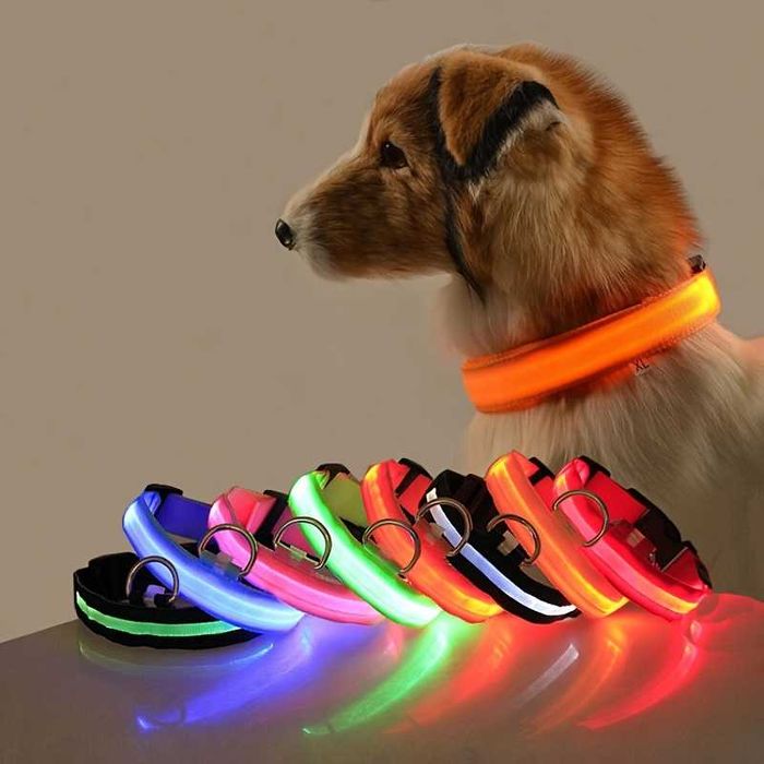 Coleira LED Luminosa para Cães À prova de água Segurança à Noite Porto
