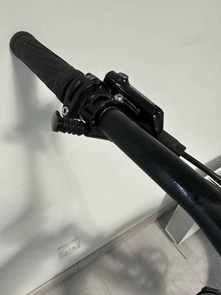 Boficleta Giant Reign
