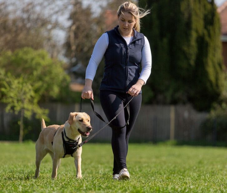 Szelki • Uprząż dla psa Company of Animals „Halti” Rozmiar M - 34-56cm