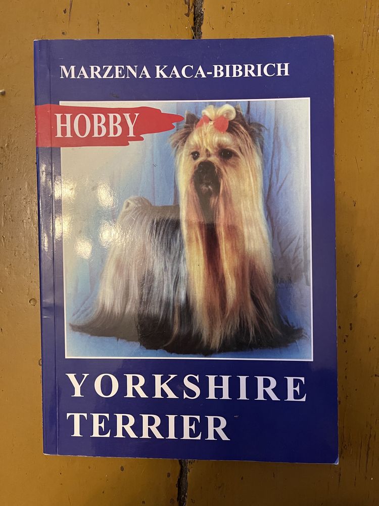 Marzena Kaca-Bibrich - Yorkshire Terrier