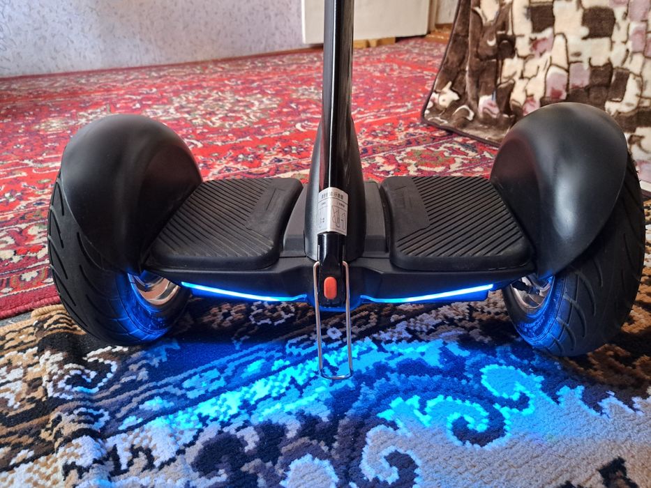 Сигвей   Ninebot