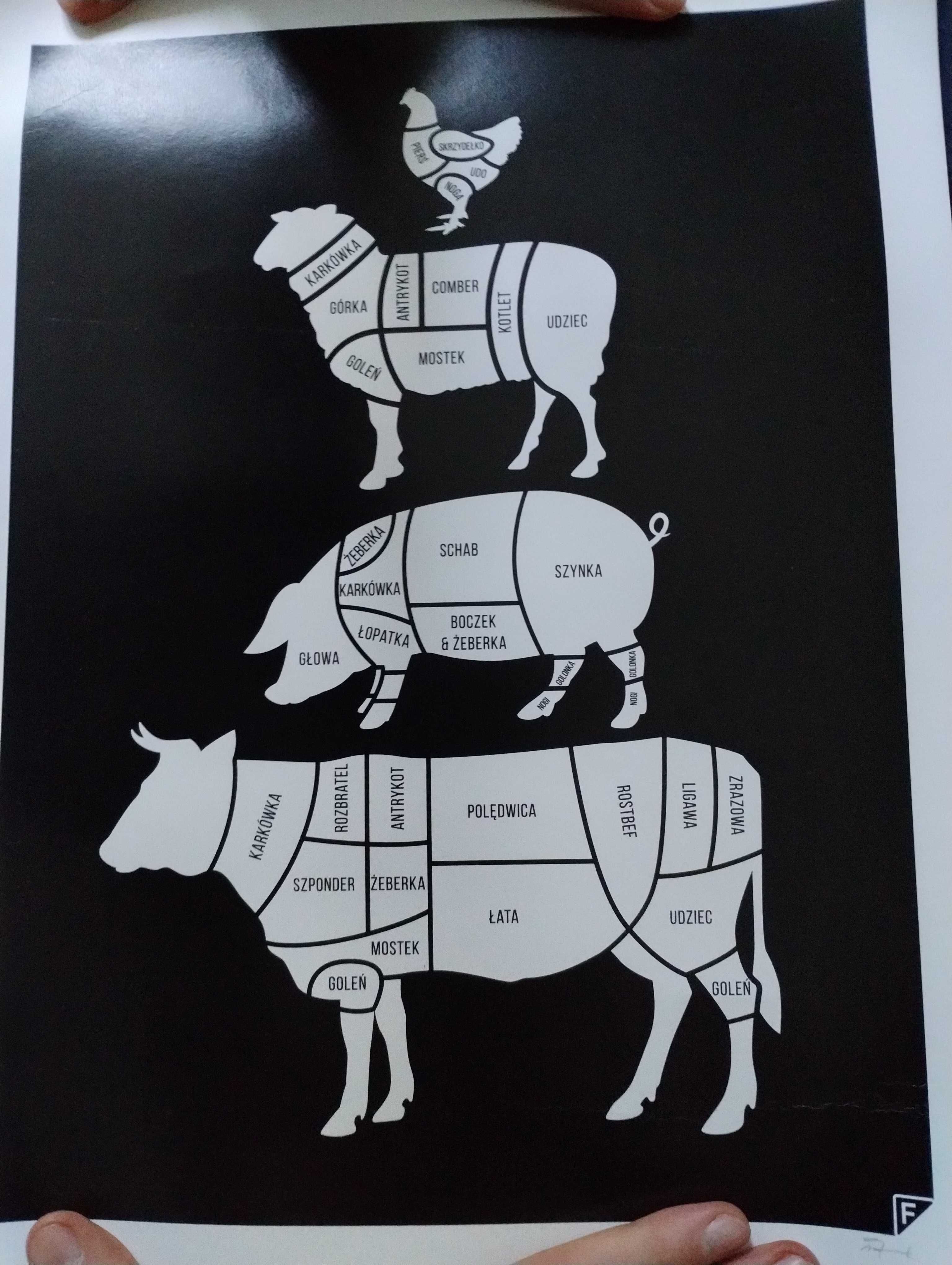 Plakat U RZEŹNIKA - MEAT CUTS kuchnia zwierzęta