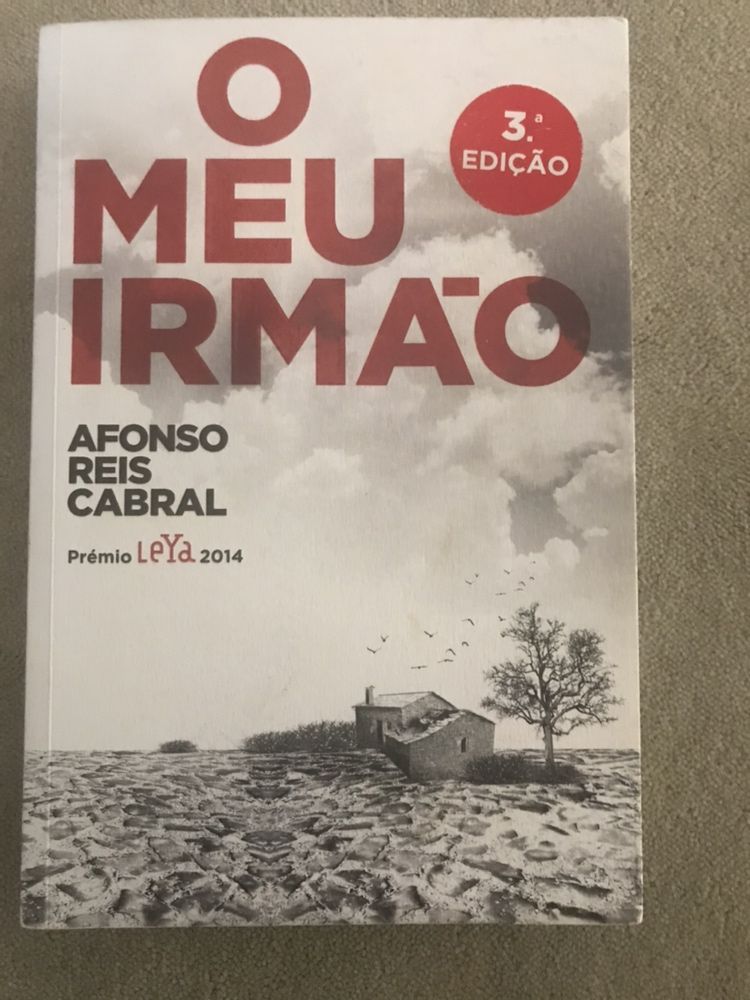 Livro o meu irmao e chuva de diamantes