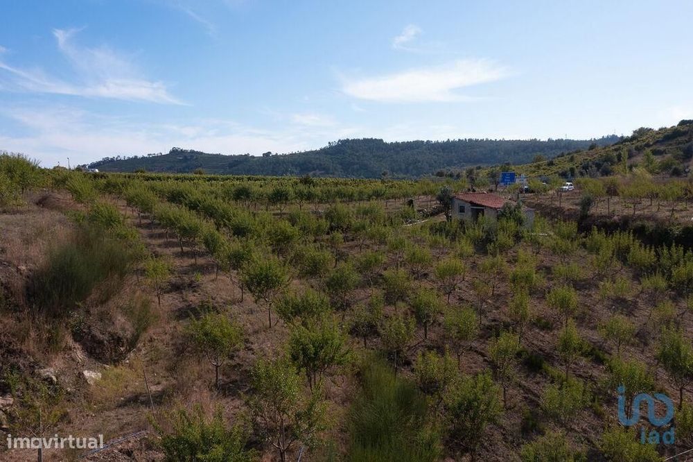 Terreno em Lamas