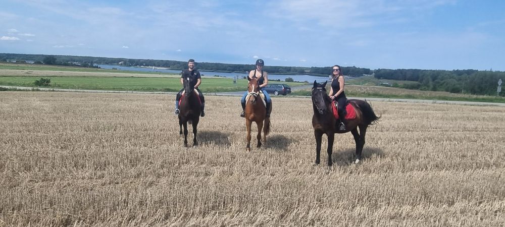 Pensjonat dla koni. Rodzinna atmosfera, piękne tereny. CABALLO