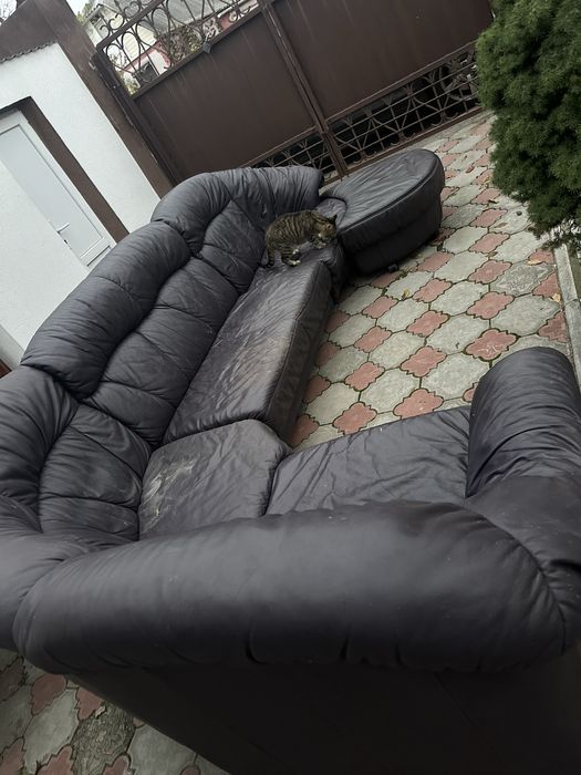 Диван шкіряний довжина 3,5  б/у