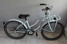 Rower dziecięcy GAZELLE FREESTYLER, Rama 13",Koła 24", Shimano Nexus 3