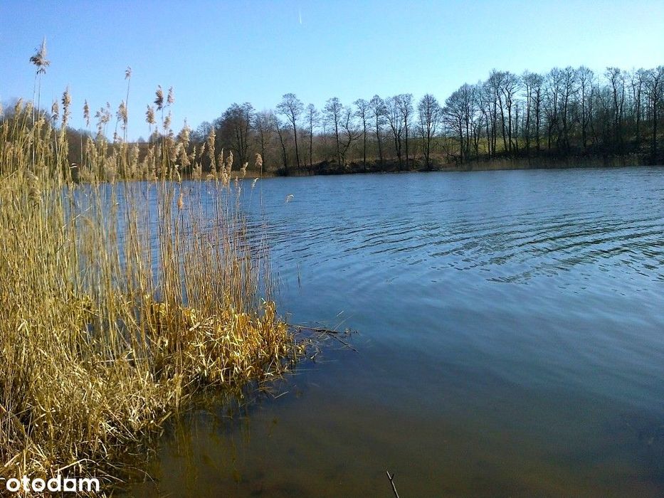 Działka z linią brzegową jeziora (60 m) i pozwoleniem na budowę.