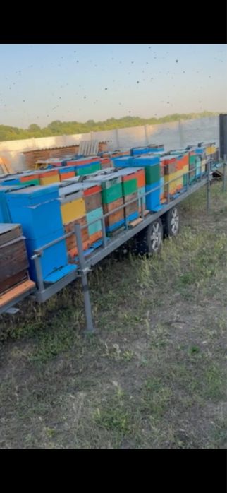 Причеп для пасіки