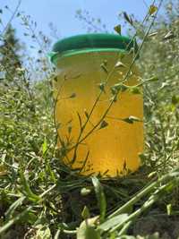 Продам свіженький весняний мед  (150 грн) літр