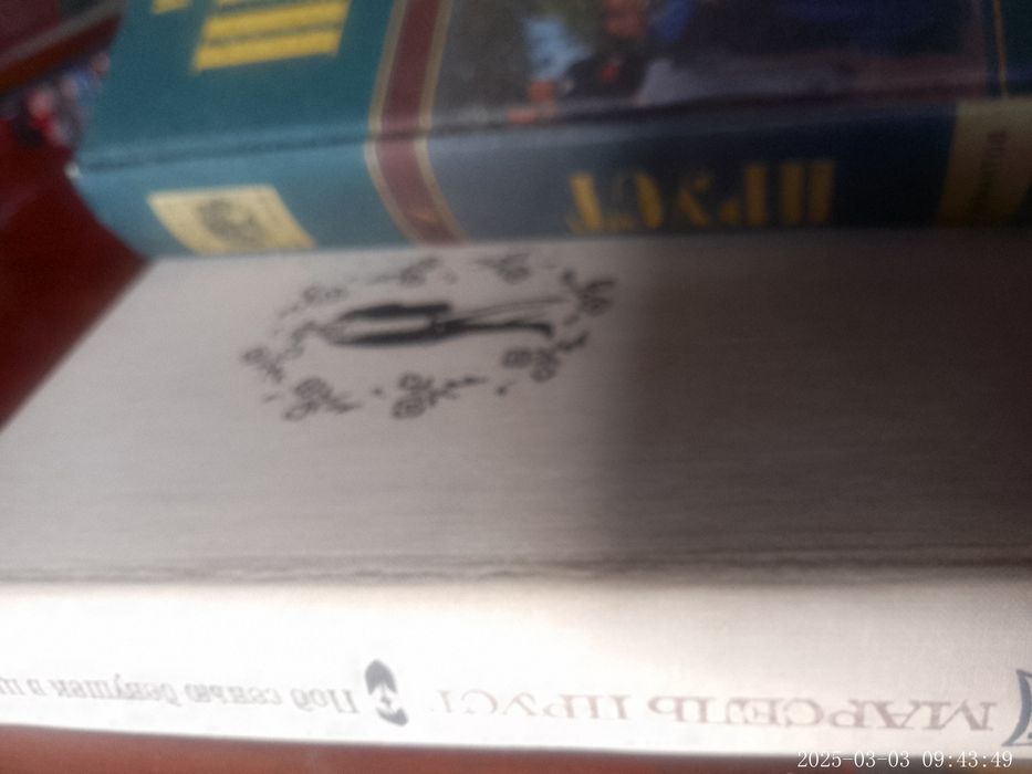 Марсель Пруст Під сен'ю дівчин у квіту. Полонянка. Російська.
У герман