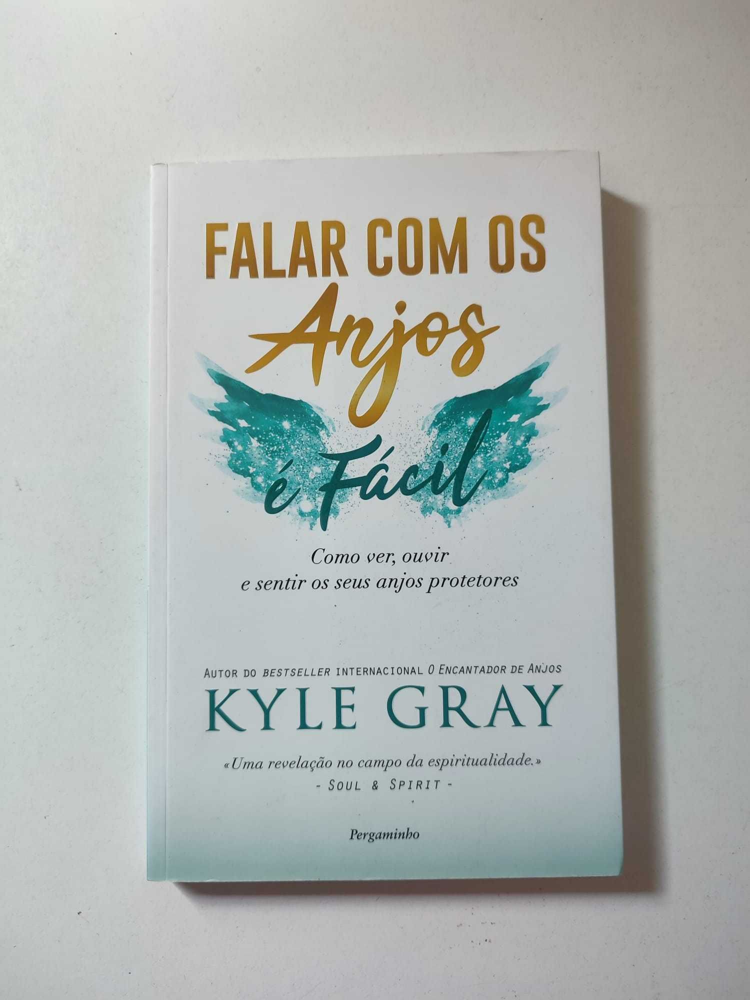 Livro - Falar com os Anjos é Fácil (portes grátis)