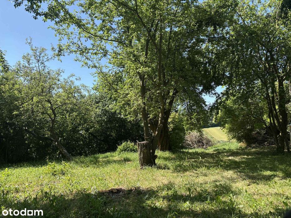 Działka budowlano-rolna Zadroże gmina Trzyciąż