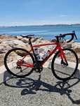 Specialzied Roubaix Elite Tam54