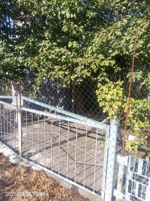 Продам дачу біля зупинки Тернуватий Кут в межах міста 44кв, Рокувата