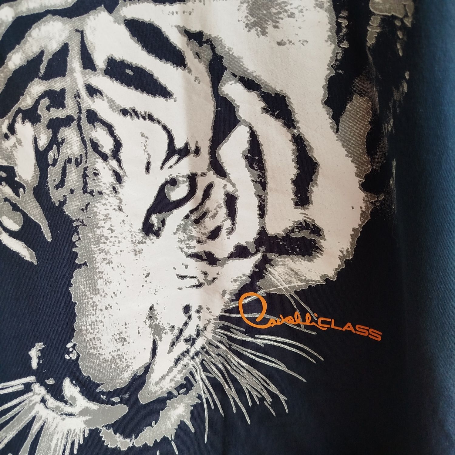 Cavalli Roberto cavalli худі футболка