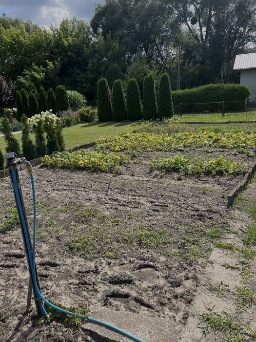 Działka Rekreacyjna ROD 5ar z domkiem